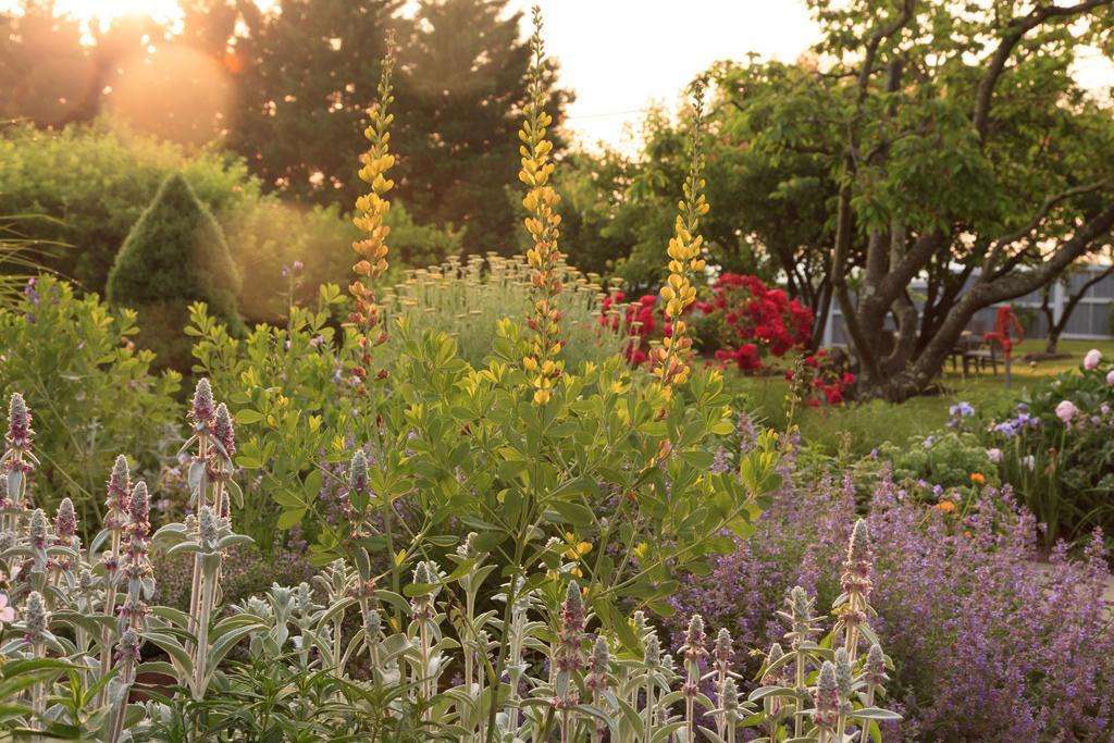 L'Auberge Provencale Inn & Restaurant Boyce Dış mekan fotoğraf